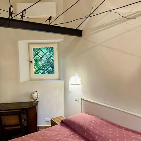 Casa Di Noah *